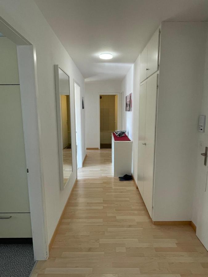 3-Room Apartment For Business Travelers & Families, Free Wifi & Tv With 70 Countries, Dazn, Sky, Netflix & Disney Wynau Luaran gambar